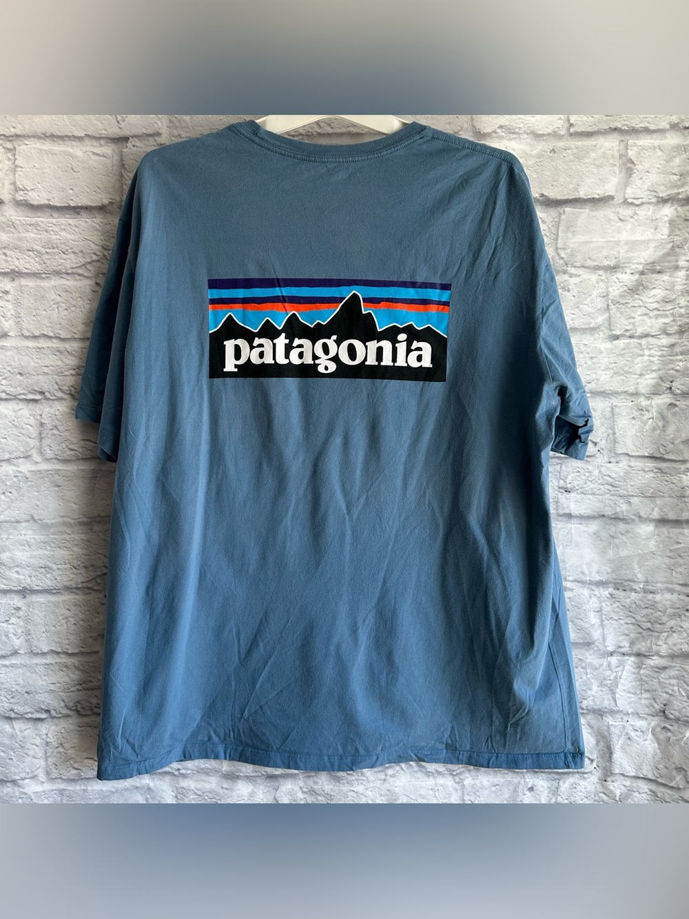 PREOWNED PATAGONIA MENS BLUE SHORT SLEEVE LOGO TSHIRT MENS SIZE XL